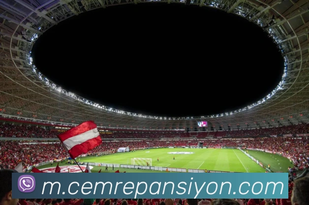 全球热力图